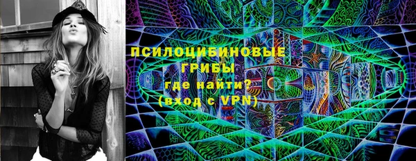 шишки Армянск