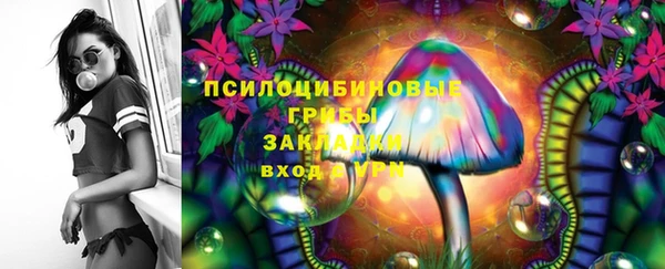 соль ск Арсеньев